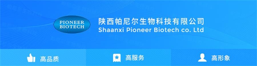 绞股蓝甙 绞股蓝甙