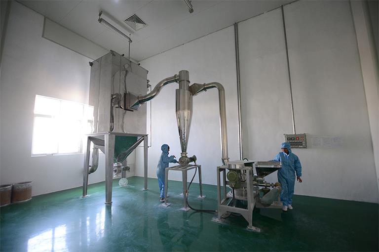 帕尼尔16